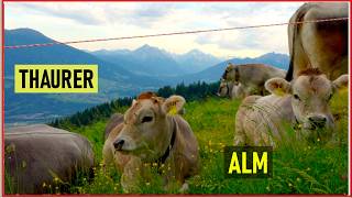🥾 Thaurer Burg, Romedikirche & Thaurer Alm ⛰️ Diese Wanderung bei Innsbruck lohnt sich! 