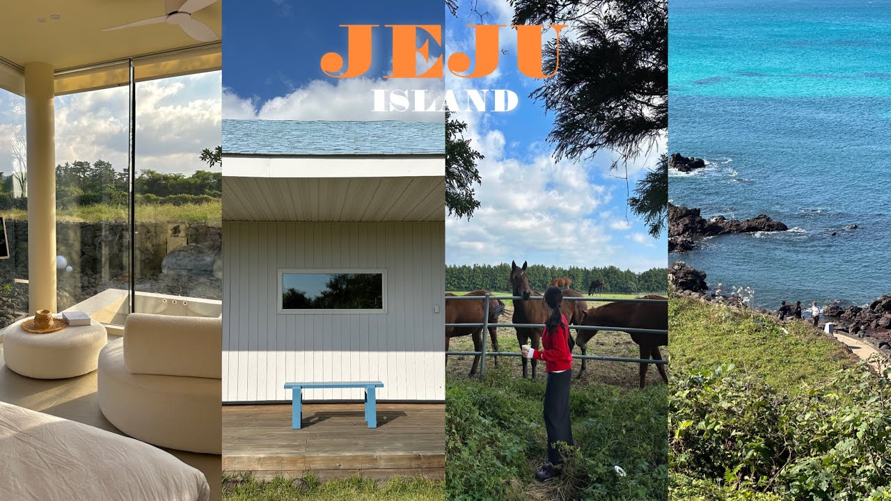 VLOG 여행 브이로그 | 🌴 2박3일 제주 여행•협재 숙소 추천•서귀포 맛집•산지해장국•너흐 카페•성이시돌목장•아베베 베이커리•이재모피자•과일모찌•올레시장•해녀촌•제주 먹방