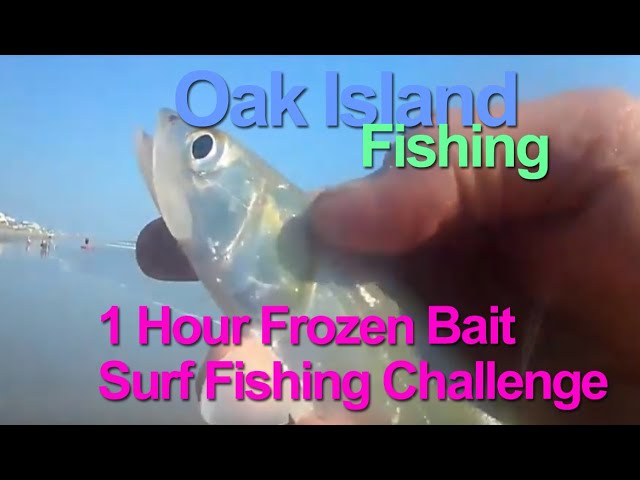 1 Hour Frozen Bait Surf Fishing Challenge on Oak Island 