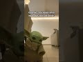 Woooow🫄 #babyyoda