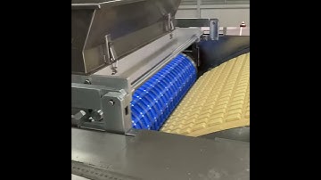 SINOBAKE Rotary Moulder For Soft Biscuit .