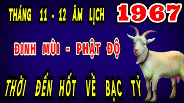 Thời đã đến đúng trong tháng 11 và 12 âm lịch trời thương phật độ tuổi đinh mùi 1967 hốt bạc giàu to