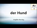 How to pronounce der Hund (5000 Common German Words)