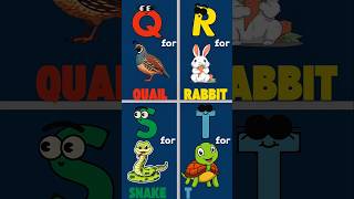 Learn Qrst Short Alphabet Rhyme For Children