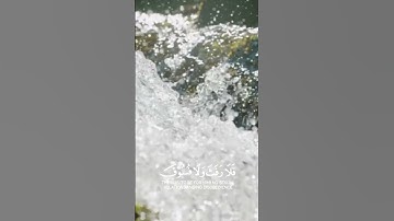 تلاوة جميلة و مؤثرة لآيات من القرآن الكريم #القران_الكريم #تلاوات_خاشعة #راحة_نفسية #اكسبلور #لايك