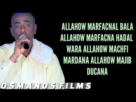 DANDAWI QASAID MACAN 2020 ALOOW NAKA DHEYRE HUFUHA CUDURKA