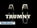 Neo-Nówka - "TRUMNY" (NOWOŚĆ 2021)