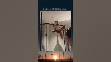 #ねこ #かわいい #shorts  可愛すぎる