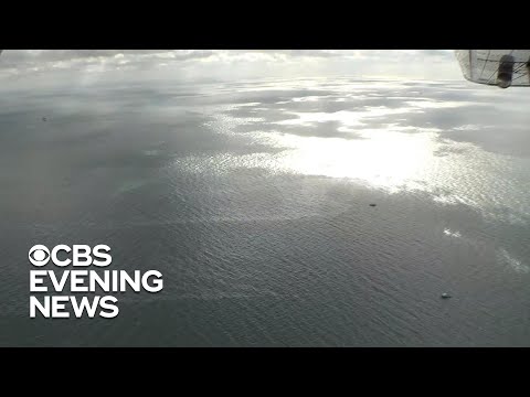 Oil spill still leaking into the Gulf of Mexico 15 years later