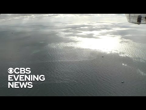 Oil Spill Still Leaking Into The Gulf Of Mexico 15 Years Later