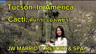 เที่ยวเมืองทูซอน ที่อเมริกา (Tucson in America..) screenshot 3