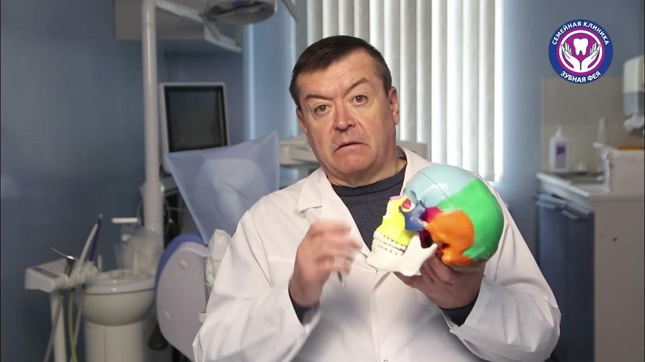 Что делает гнатолог? Врач-гнатолог Александр Хамчишкин - YouTube