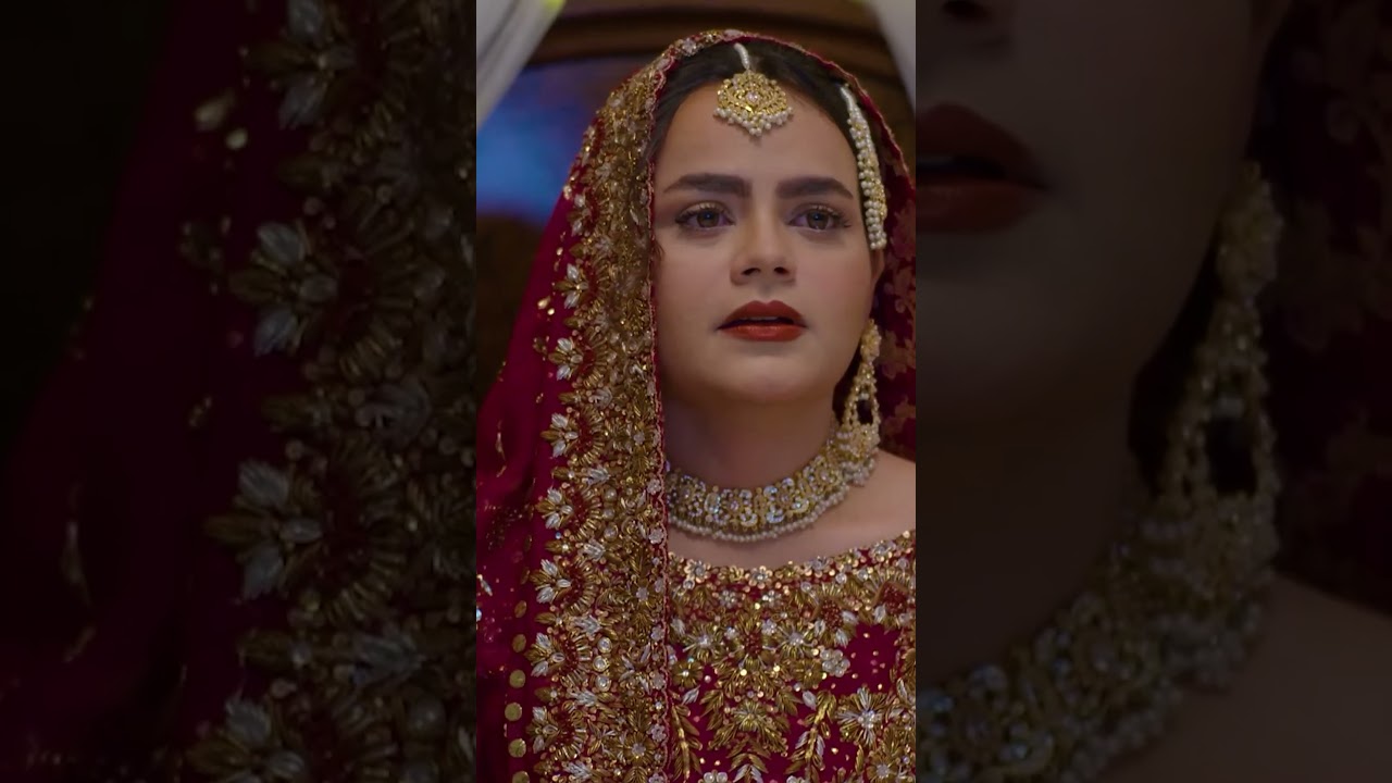 Shikwa Episode 42 | Promo | Sami Khan | Maria Malik | Yashma Gill | ARY Digital