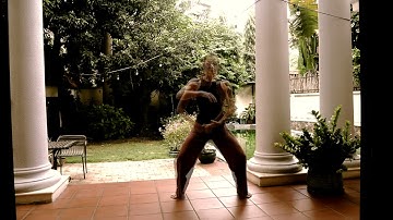 8 Trigram Organ Qigong