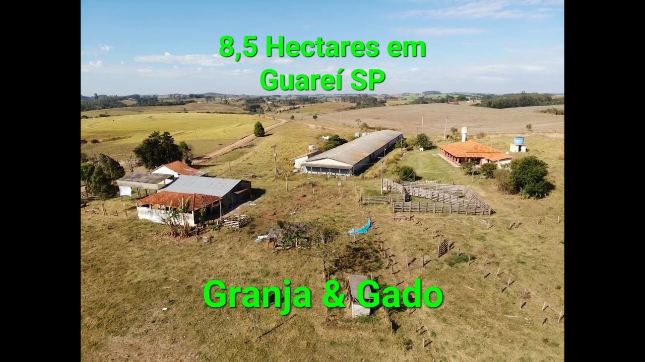 R$ 1.450.000   SITIO FORMADO PARA PECUÁRIA E GRANJA REGIÃO DE GUAREÍ SP