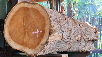 The beautiful appearance of old teak wood full of expensive fibers when sawn by a sawmill 