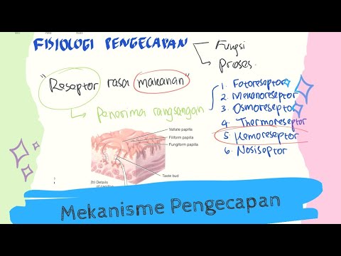 Pangkal Lidah Umumnya Merasakan