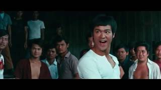 Bruce Lee | The Big Boss (1971)
