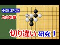 【囲碁講座】切り違い研究(小目に即ツケからの変化)前半は簡明策で後半は筋トレ用!面白い手筋の宝庫。研究していて楽しかったです