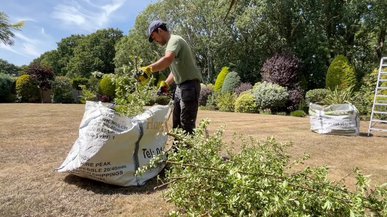 Border Tidying in Homeowners Very Dry looking Garden!