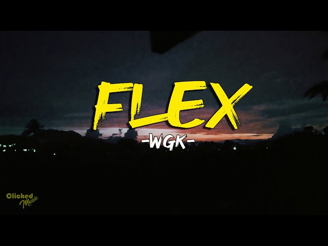 FLEX -  WGK (prod. Roko Tensei) (Lyrics) class=