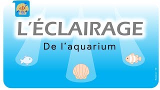 Choisir l'éclairage pour son aquarium