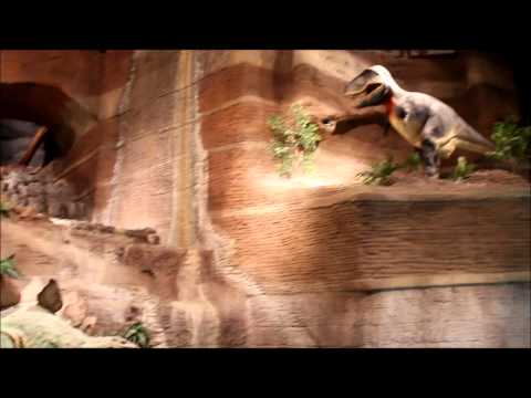The dinosaurs at