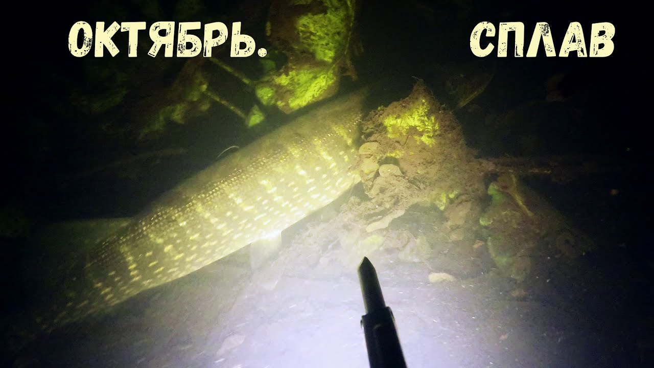Подводная охота - Октябрь.Сплав