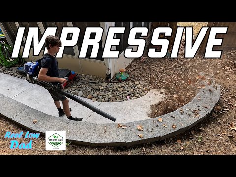 Amazing Budget Backpack Blower Wild Badger 43cc Blower