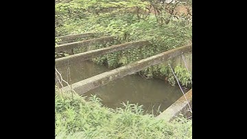 PFAS Pollution Crisis: Causes and Consequences in Chiba Prefecture