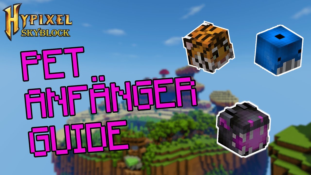 Pet Anfänger Guide | Hypixel SkyBlock Deutsch - YouTube