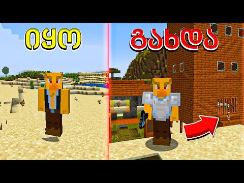 ვაშენებ ჩემს ქალაქს Minecraft ში