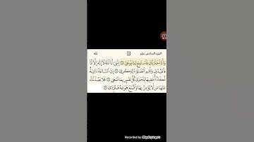 #ما###### تيسر## من# سورة #طه# #بصوت# القارئ# أبو محمد# الرشيد####* #اكسبلور