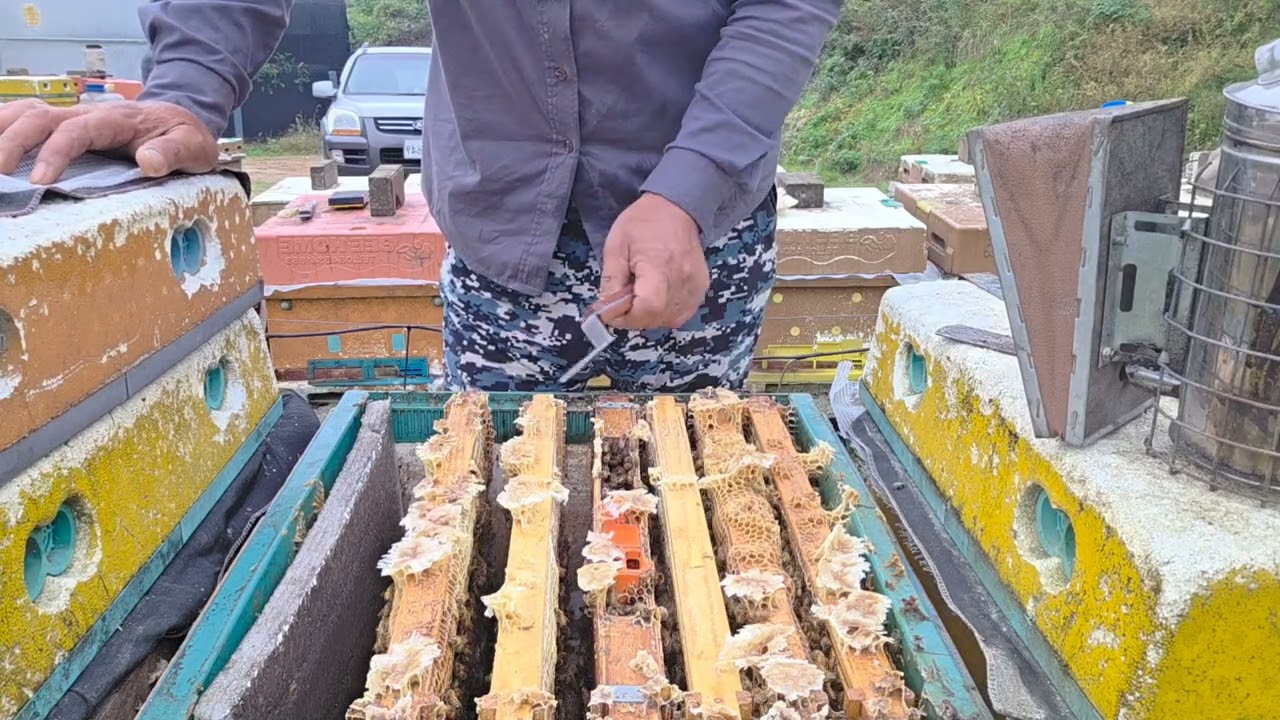 당액 유지하면서  축소합니다.