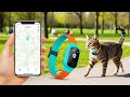 15 Genius Pet Gadgets on Amazon You Must Have