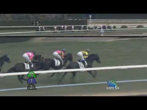 2012/02/05 京都5R　3歳未勝利　クランモンタナ