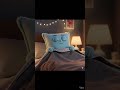 pillow #pillow #sleep #dream #dreams #video #dreambig #sleepmusic #sleeping #peace #love #fun #funny