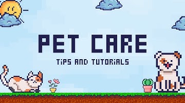 10 Common Mistakes Pet Owners Make | Avoid These Pet Care Errors!