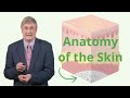 Exploring Skin Anatomy and Function Through Visual Learning