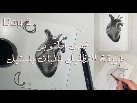 ผลสลากกินแบ่งรัฐบาล วันที่ 1 พย. 2567