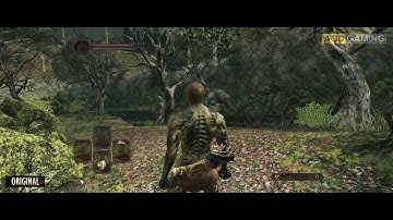 Dark Souls 2 : Scholar of the First Sin Realhancer Reshade Mod PC Ultra Details