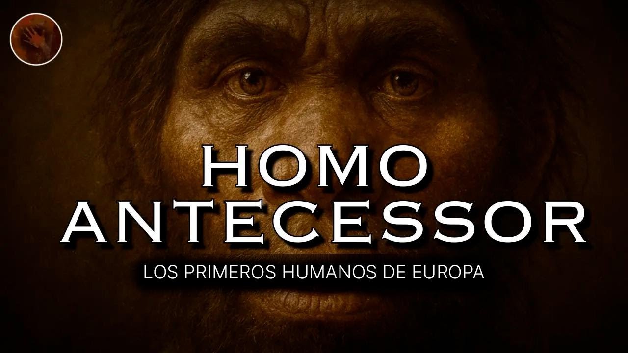 Homo Antecessor: los primeros humanos de Europa | Documental sobre nuestros orígenes