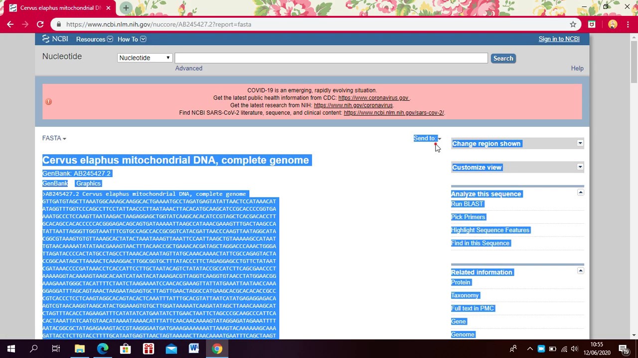 TUTORIAL NCBI DAN CARA MENDOWNLOAD SEQUENCE DARI NCBI 