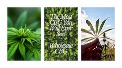 The most CBG you will ever see!  Best Wholesale CBG Flower & CBG Biomass - Quality Wholesale Hemp.