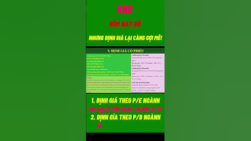 ĐỊNH GIÁ- GIÁ TRỊ HỢP LÝ CỦA VND NĂM 2025#vnd #phanduyenstockinsight