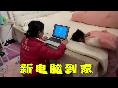 小何买的电脑到了，做视频更方便，孩子调皮问电脑和他们谁更重要【小何妈妈和猪妹妹】