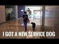 I GOT A NEW SERVICE DOG?? I GOT A NEW SERVICE DOG??