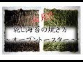 オーブントースターで海苔を焼く方法