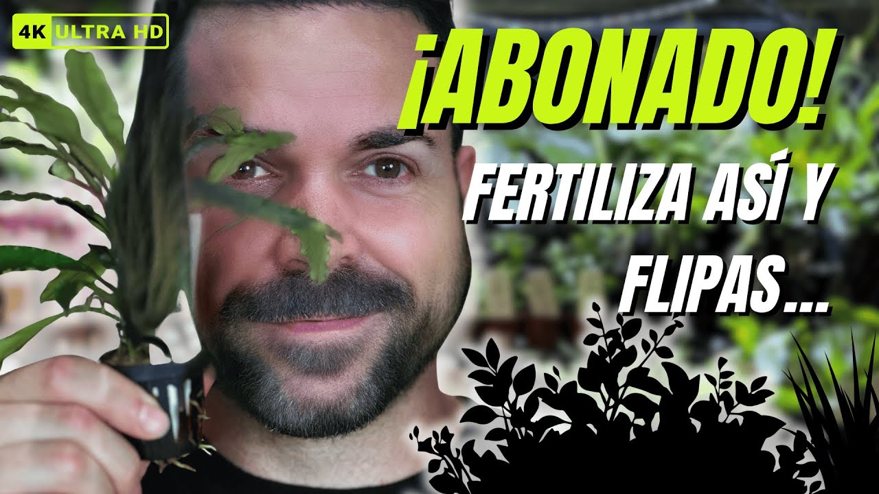 ¡ABONADO PERFECTO para que tus PLANTAS EXPLOTEN de crecimiento! 🌿💥►