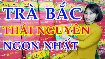 Trà Bắc | Trà Bắc Thái Nguyên ngon nhất | Trà Thái Nguyên